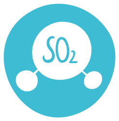 Alergen Dioxid de sulf / Allview ERA Food